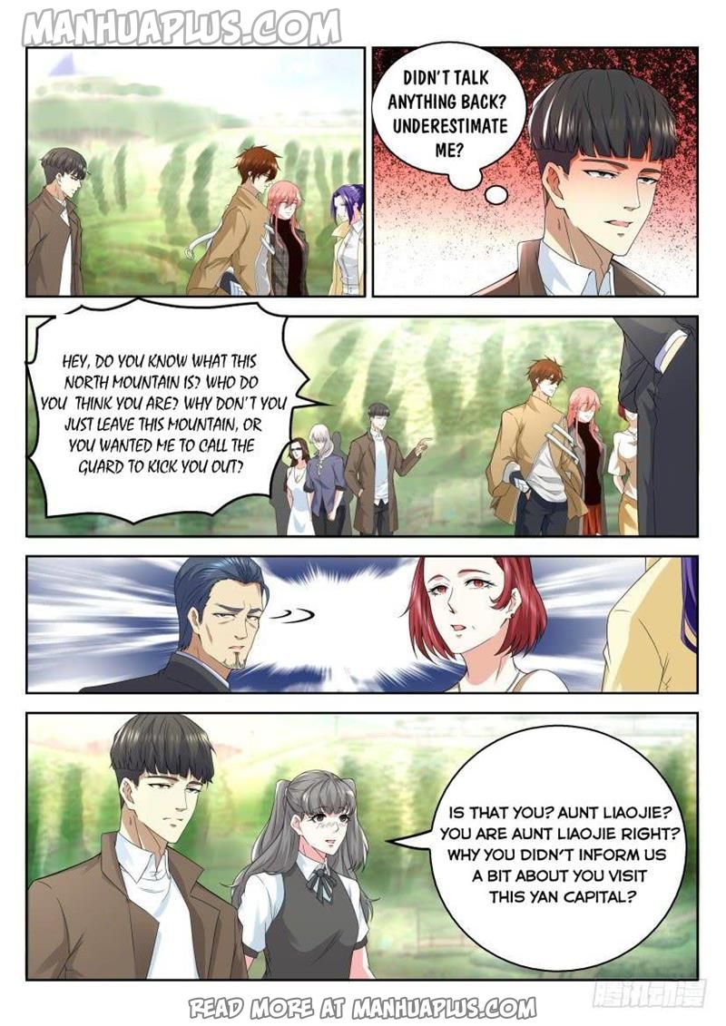 Rebirth Of The Urban Immortal Cultivator Chapter 319 - 11