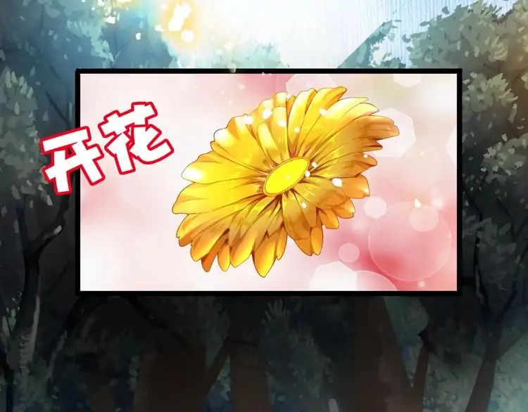 Magic Emperor Chapter 3 - 25