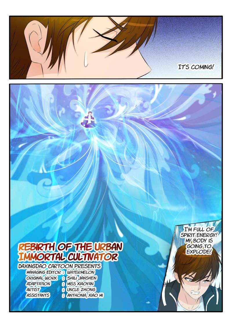 Rebirth Of The Urban Immortal Cultivator Chapter 33 - 10