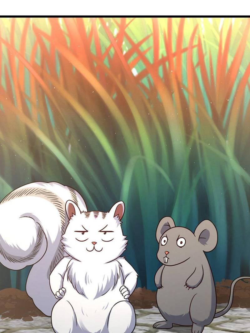 Spare Me, Great Lord! Chapter 143 - 5