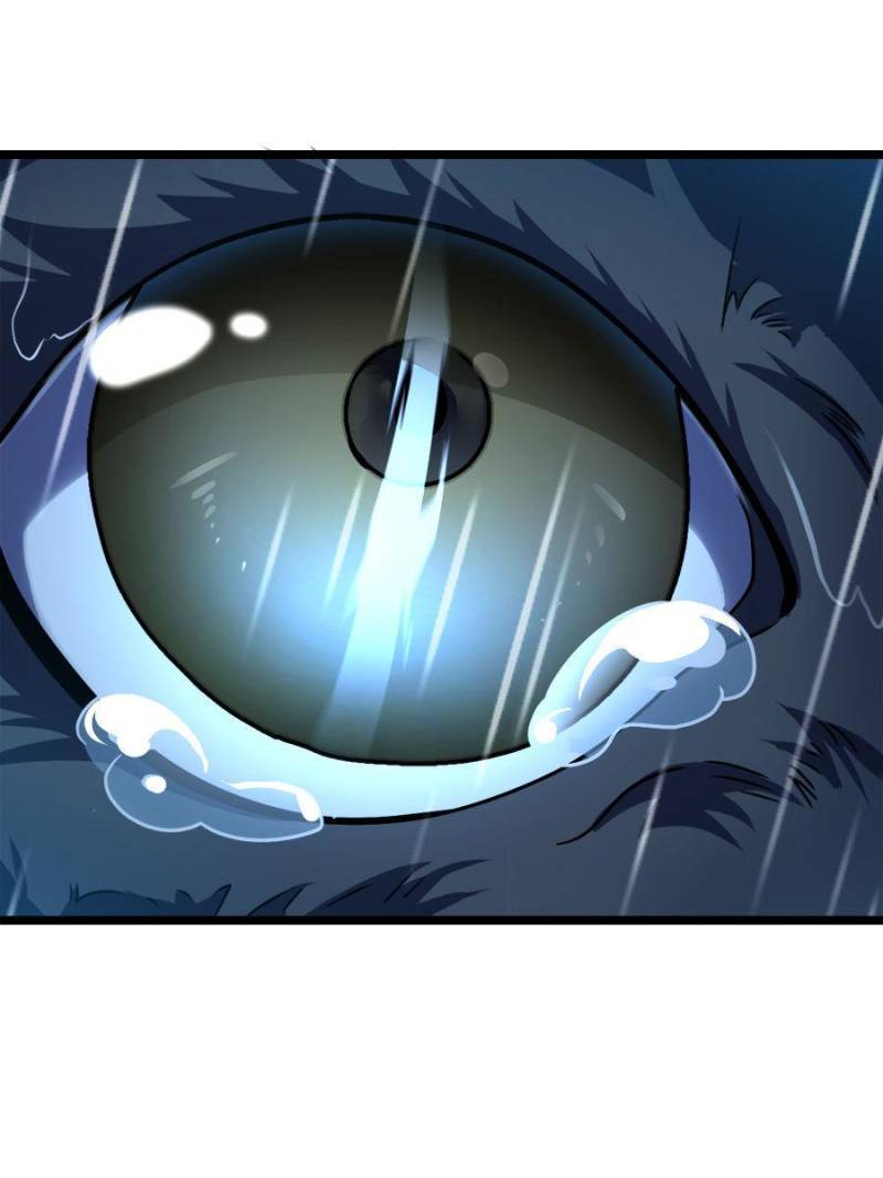 Spare Me, Great Lord! Chapter 351 - 57