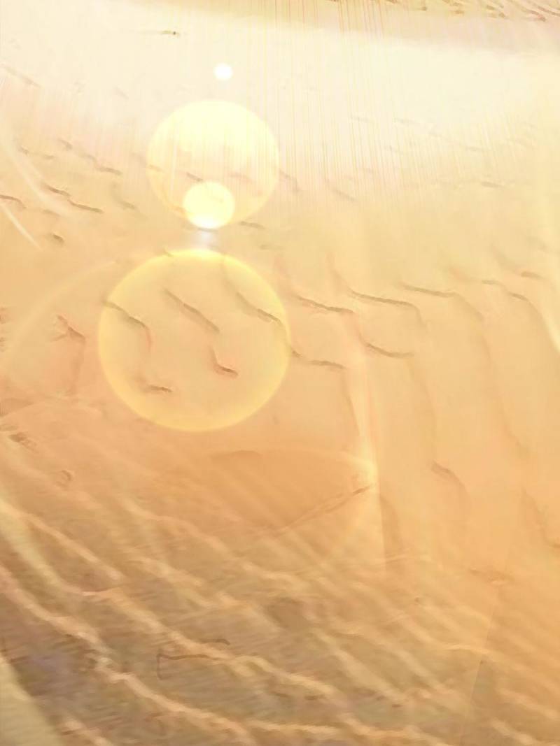 Spare Me, Great Lord! Chapter 355 - 80
