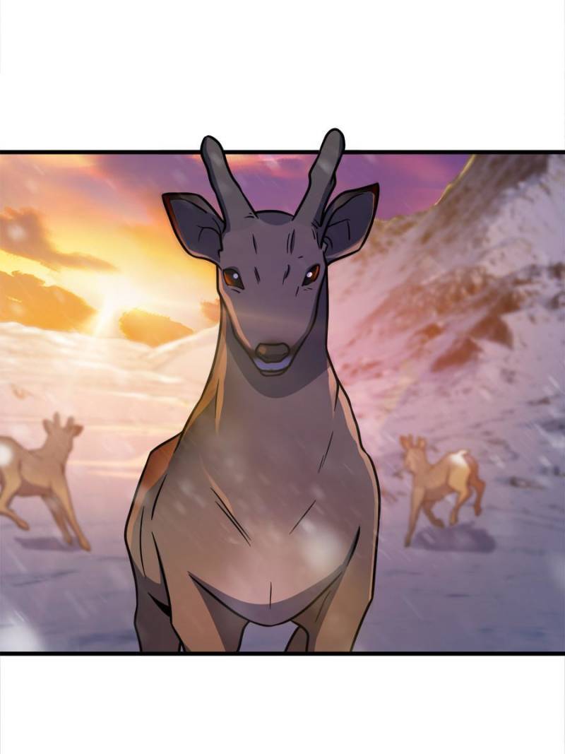Spare Me, Great Lord! Chapter 439 - 67