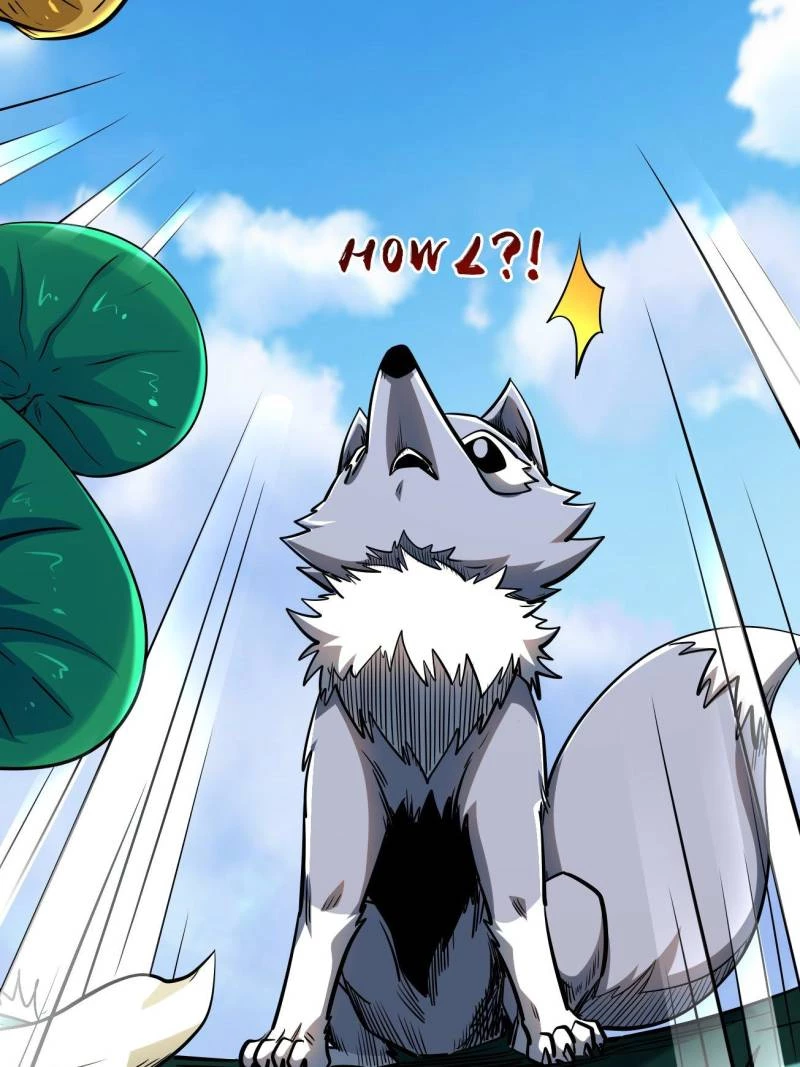 Super Gene Chapter 208 - 42
